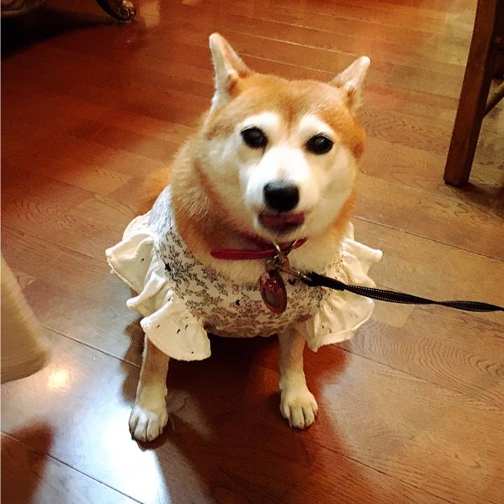 837c90bc 13bb 4286 a91a 3e65badf5deb