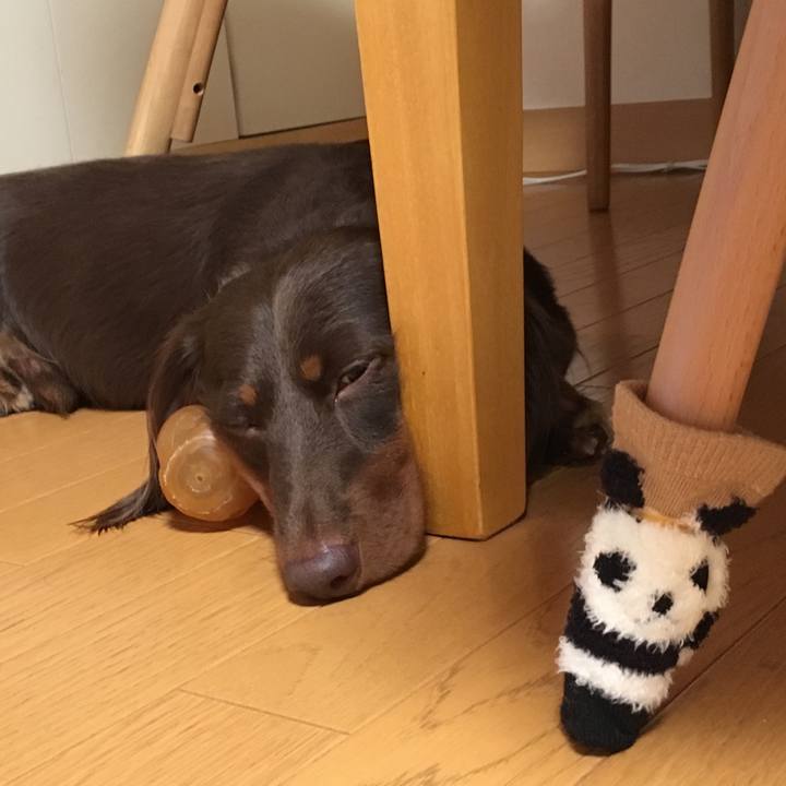 837e7c96 a766 4702 ad90 daf592dc4d66