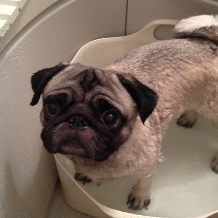 837e8251 645b 41d3 b990 ea3bccff48a0