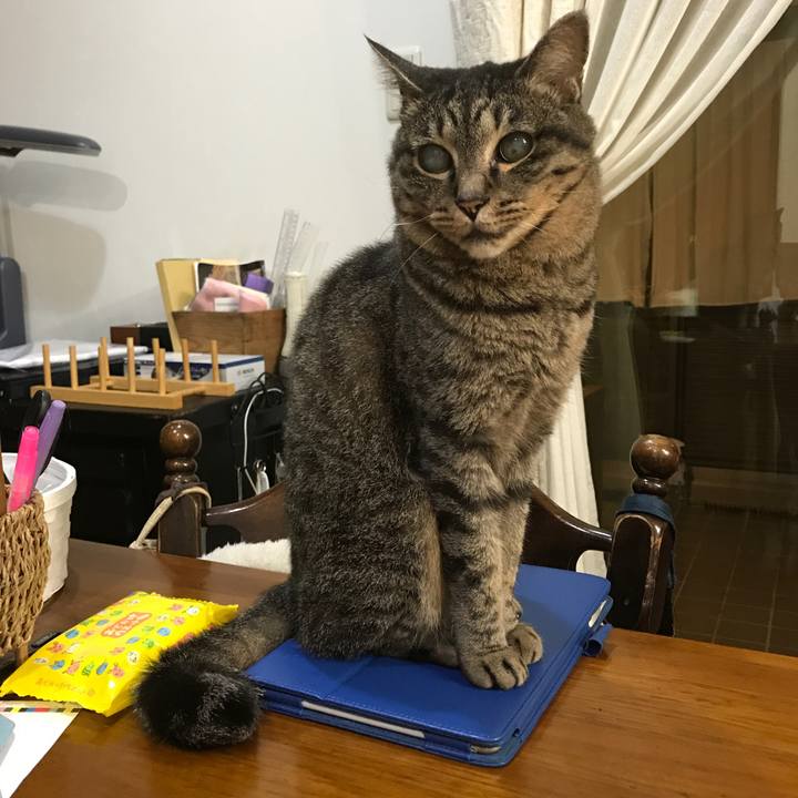 837f4a59 ea6b 4188 8dce bd8199de3663