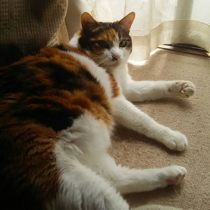 837f54b2 554c 409e ab74 b0a10845320d