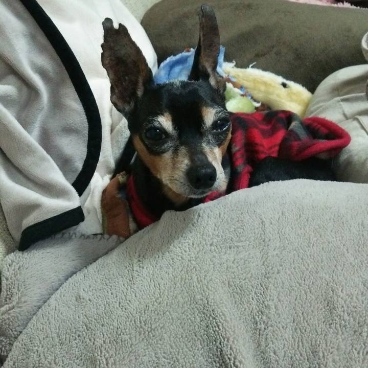 837f6814 a960 496a 8828 9b769af7c7f0