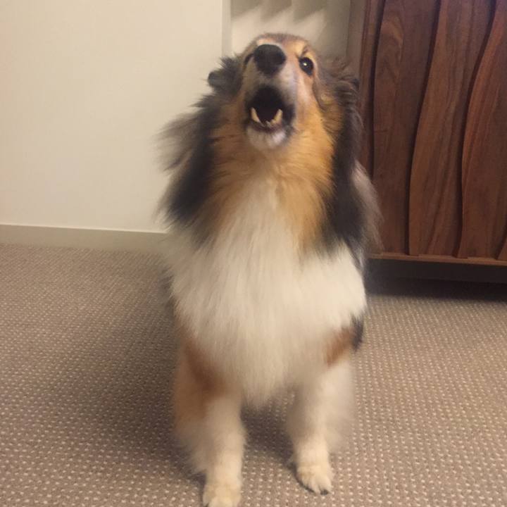 837f93cb a90c 4b94 b553 c6464844dab3