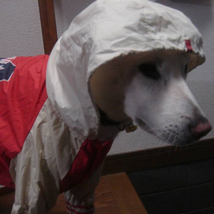 837fa7bf db6a 4488 981e afc32be831be