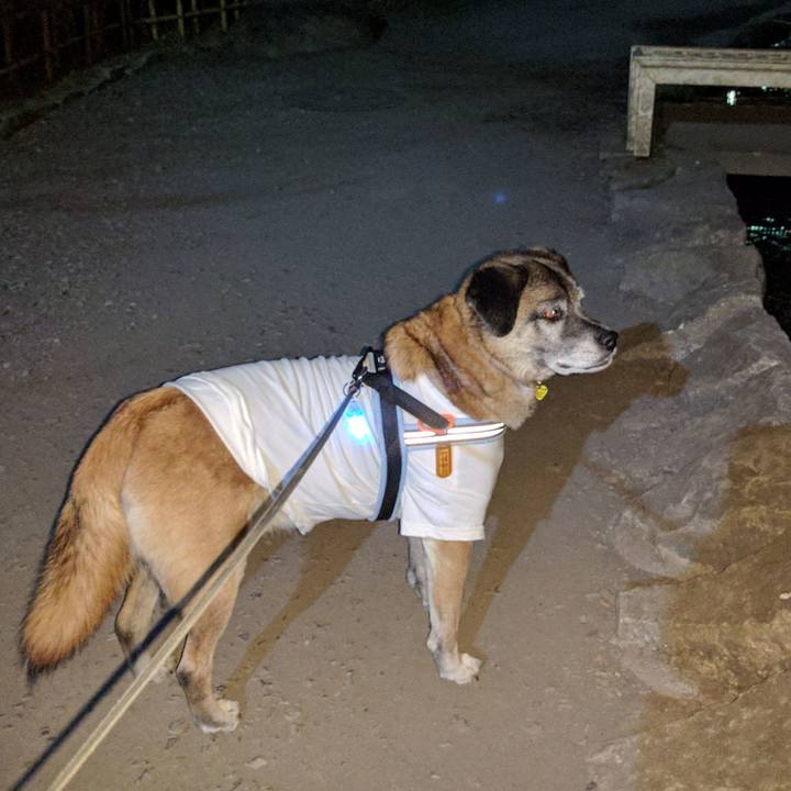 83802541 3f0a 4496 8bd6 fdee519718dd