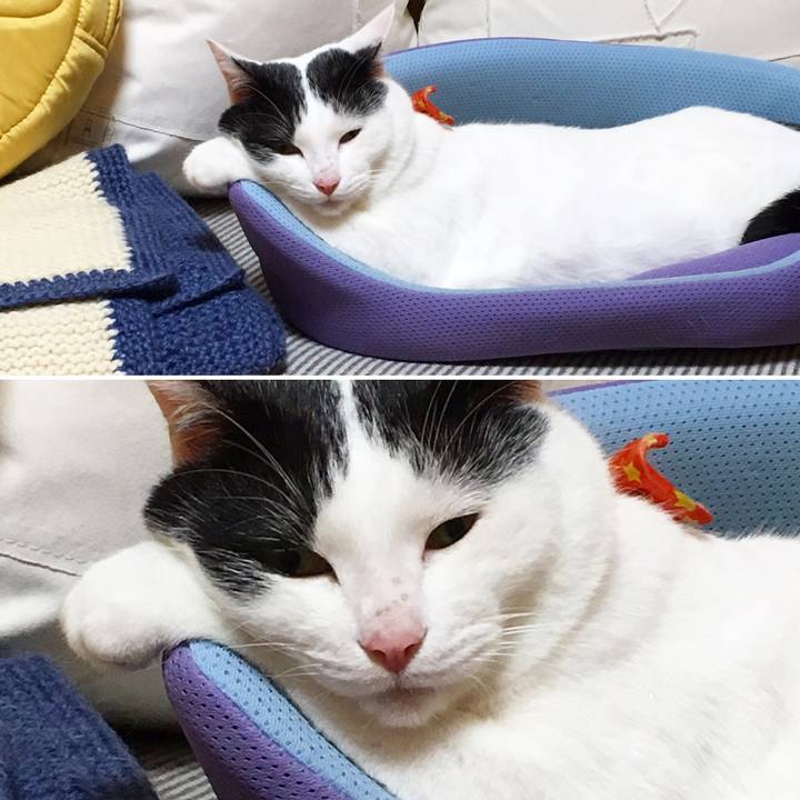 83805022 0d6f 43a7 9c76 ed6e8115c76c