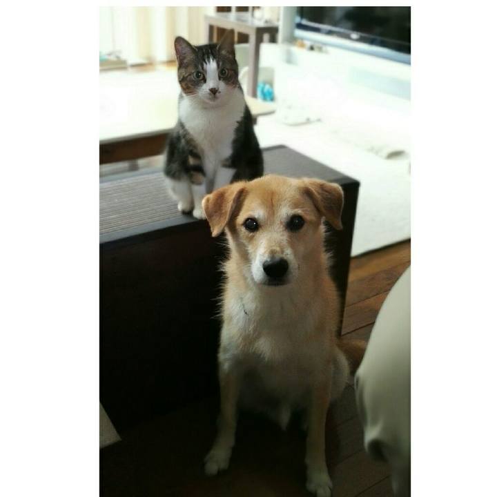 8380a623 fc3c 4f74 8fe5 809e245ac0ec