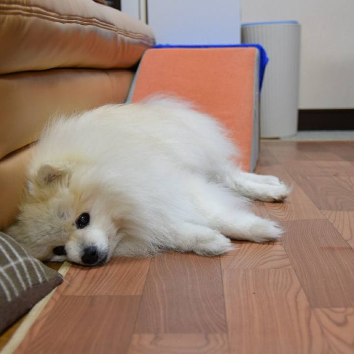 8380b4fd da03 4774 9f79 018775f60ac2