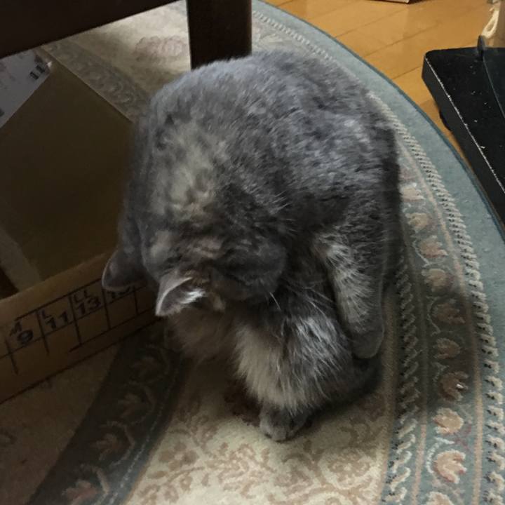 8381b76a d75b 479d 8f4e 51cf6bdd25b5