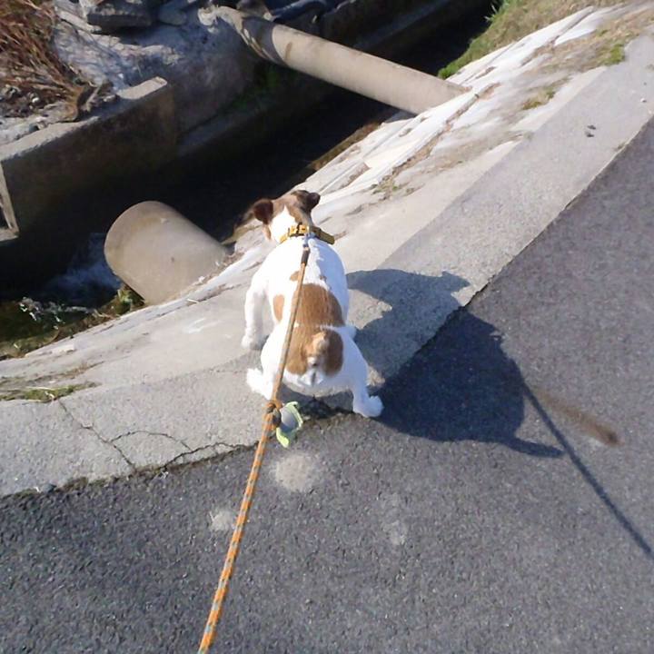 8381bd9f ff83 46f6 80db 6598b50f79fc