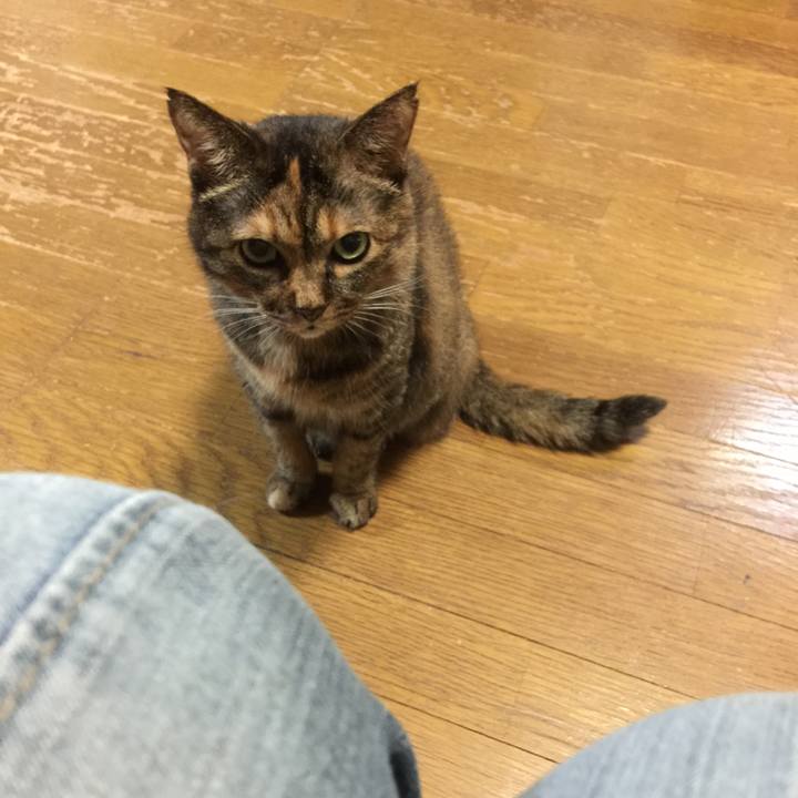 8382392f b994 4e7e 93d2 4731ddb07bcc