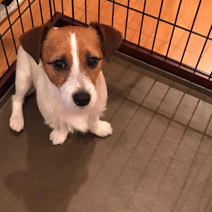 838257c6 ae47 4452 b66b f087973b0f03