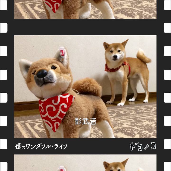 83833c33 c4cd 4c6c ab1d cfccbd361e61