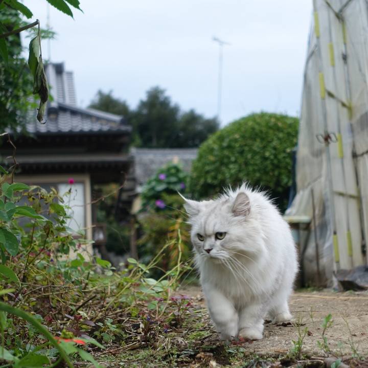 838383aa e8cd 4e67 b2b0 212ebca4c176