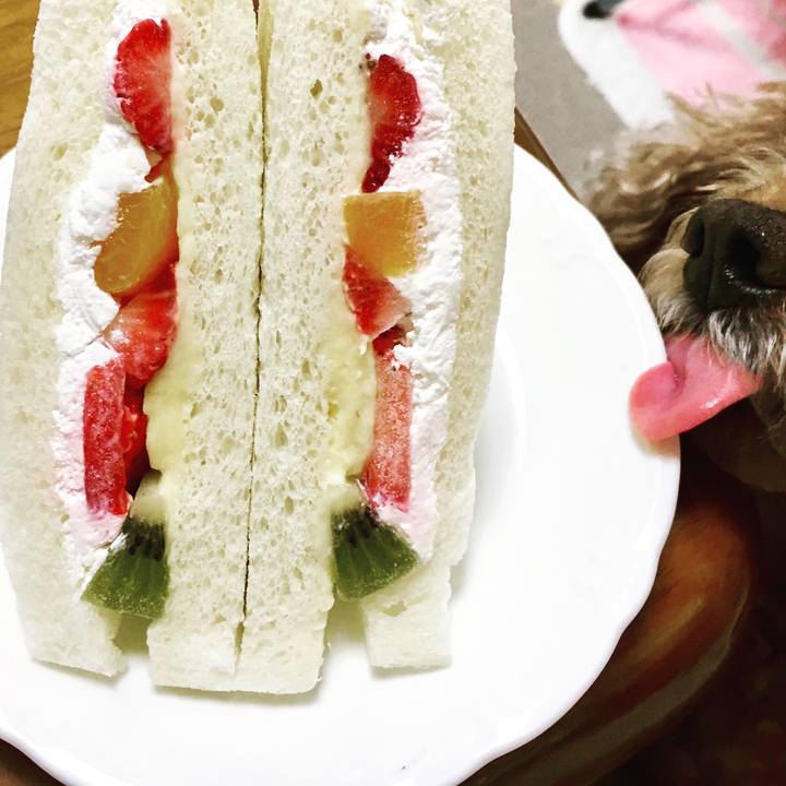 8383b97d 9ee1 47f6 afdf 8657e0fc49f2