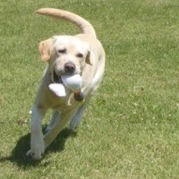 838408d0 82f4 480a abf9 111f9fb1e87b