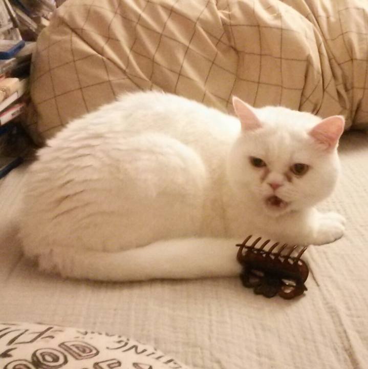 838512be 9375 424a be11 f512cc36b2e5