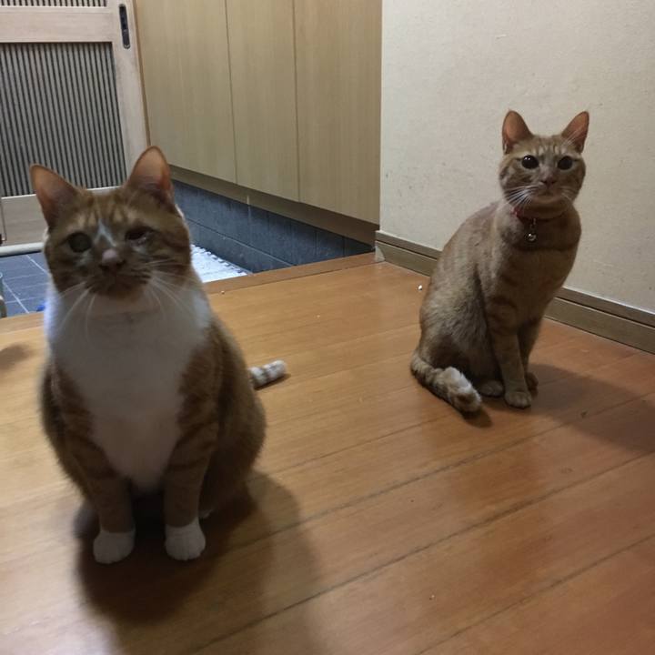 83851b22 0ada 4114 b04e 20e9d4289261