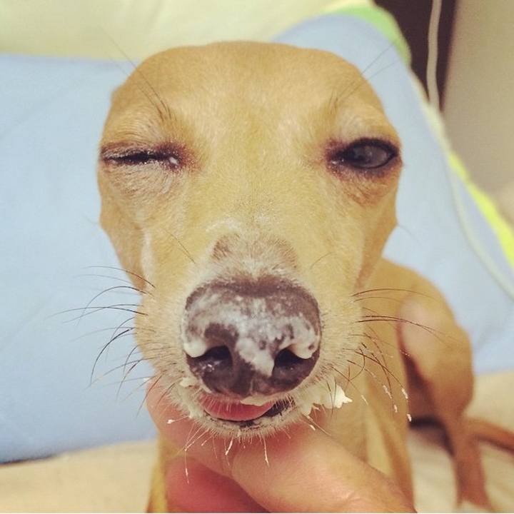 83856312 c4a2 492c 9dd0 25dc452dcdd3