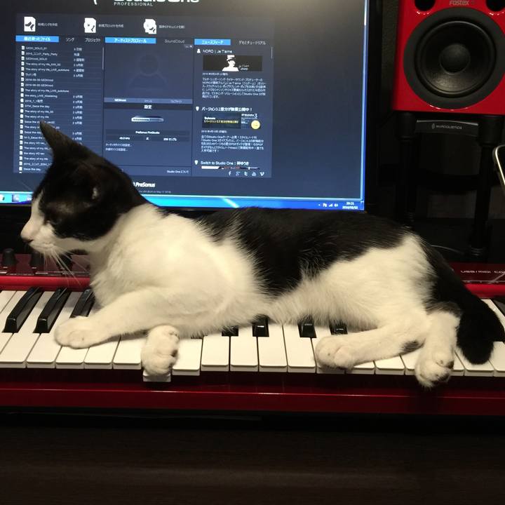 8385a72f c7f7 40a4 88fb e25297f9595a