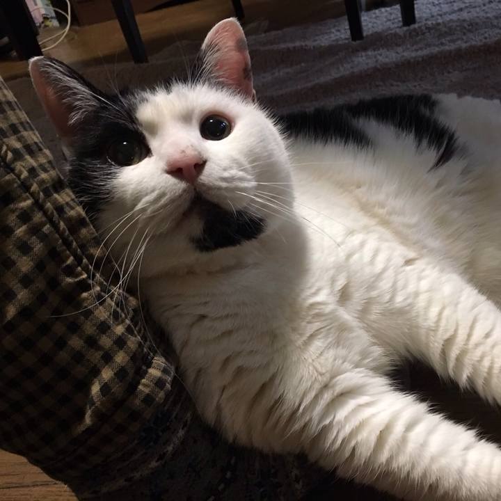 8385b668 5c0c 476d ba29 cd6fb1d32627