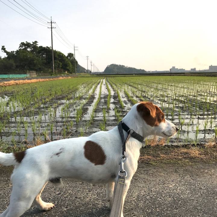 8386d755 acbb 473b beab 3e32429f6e40