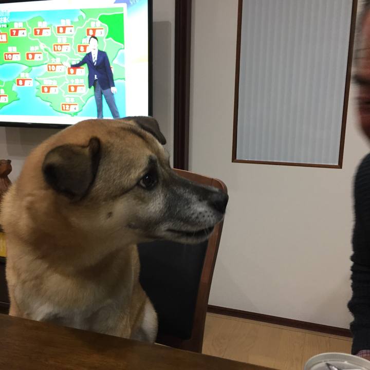 8386e1d3 3616 4818 98eb 926bf8e95e96