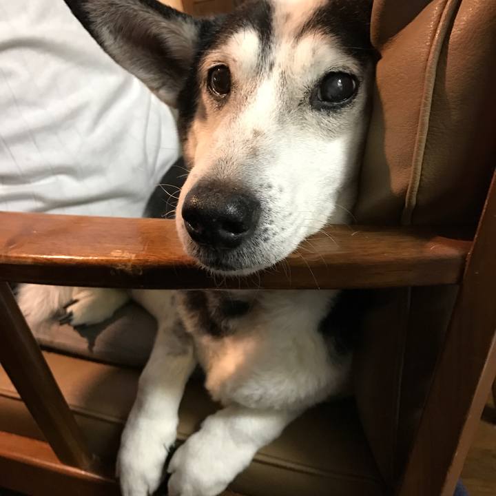 83874dc4 4b08 4031 89ba 62e1ef3657a8