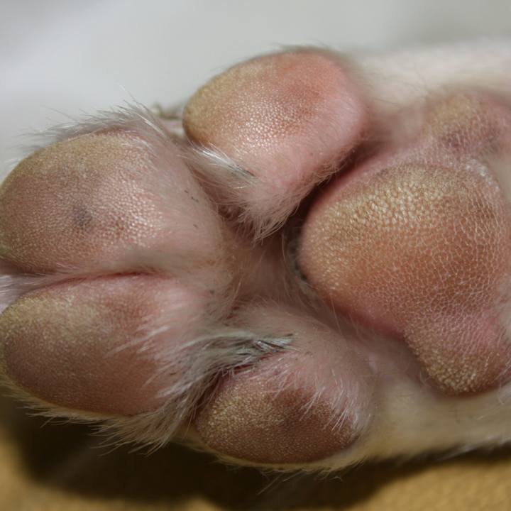 8387e120 9ee9 4962 bf2c ff3a562e4d37