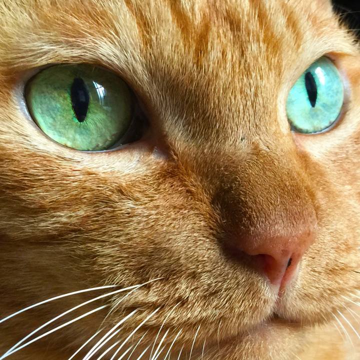 8388181f e716 4cf2 9f7b 3cf0698f857f