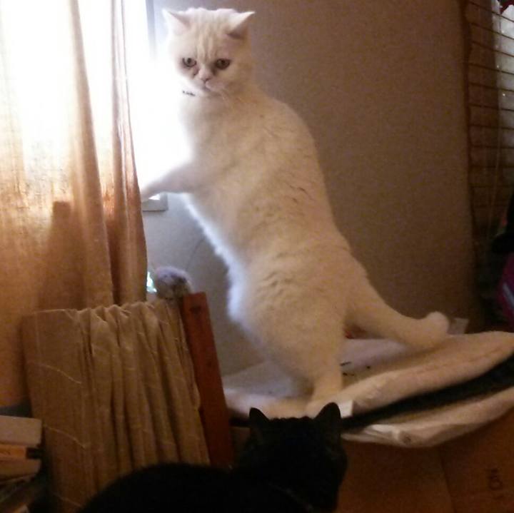 8388377f d9cd 4bf7 b4fe 730163a6cf65