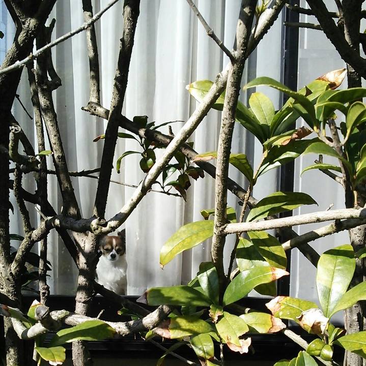 838841d3 326a 4980 a71e d00c333e7111