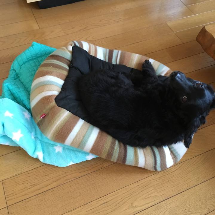 838863df 989e 44c0 aad2 cf5f8c783fe4