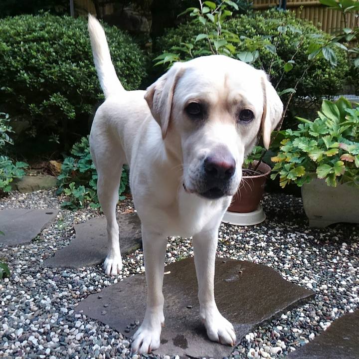 83896f47 394f 4328 9019 0cd548b145fd