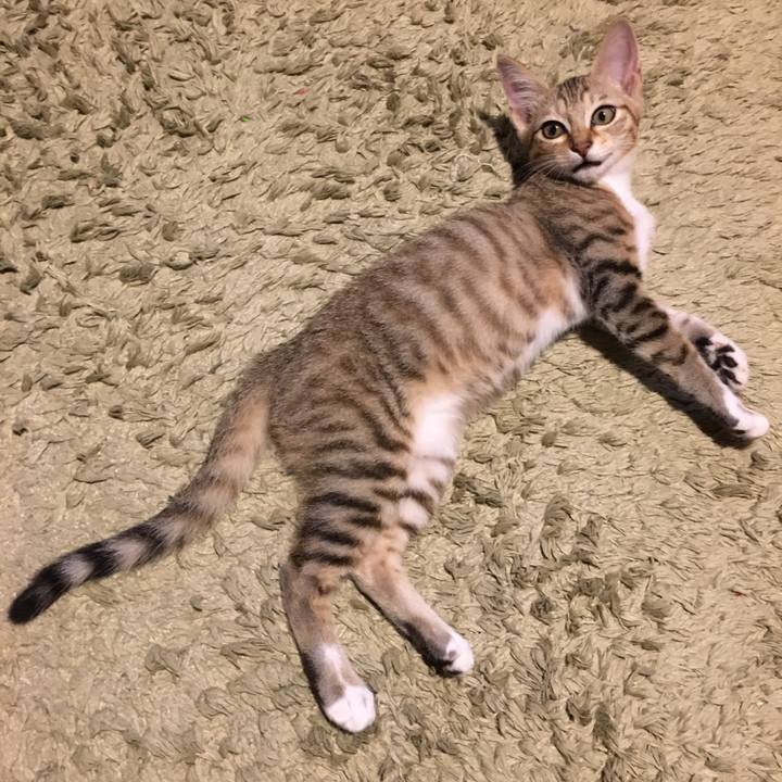 8389b9a4 7ff6 4f02 8664 6c47da921699