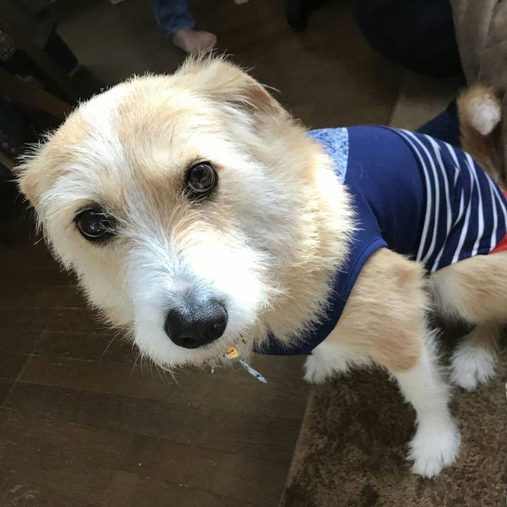 8389eed7 30e4 4f85 827c 98f61477c8ca