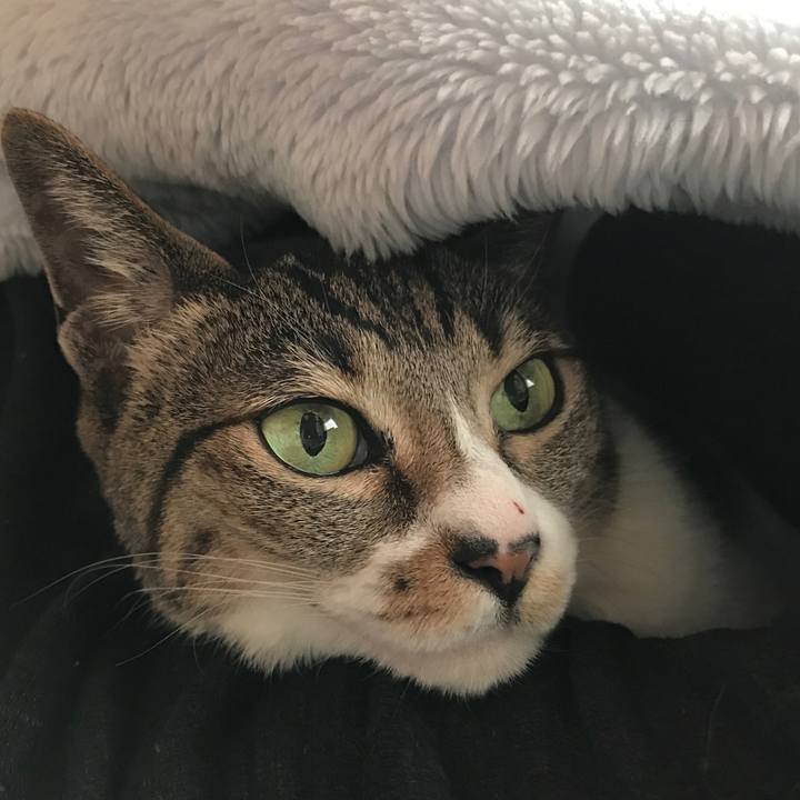 838a59ca 1b53 46e6 880f 87b972ccbc84