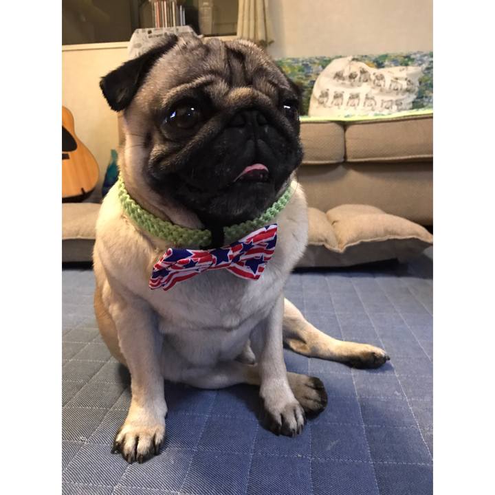 838aeaa2 3e79 43eb 9070 f94fe97502ee