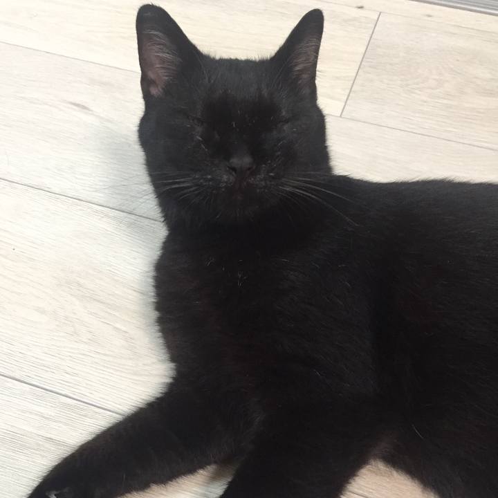 838aed8e baf6 4012 a469 afe529a720c0