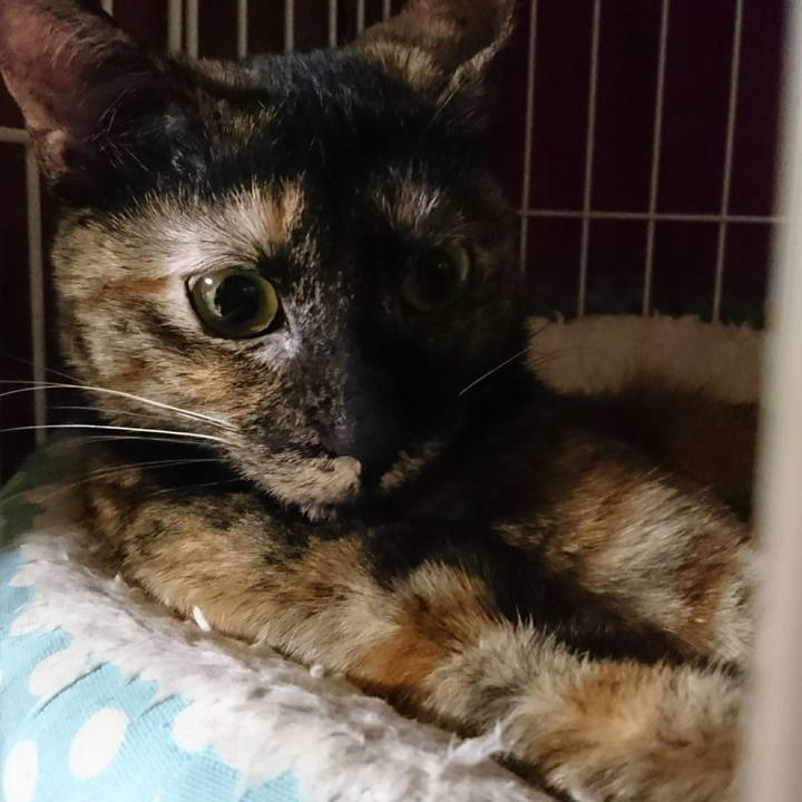 838b3598 2c5f 4c6f a6f2 2e6812da31b2