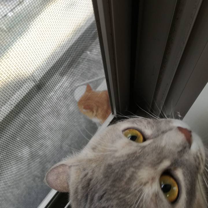 838b4fd5 b8f4 47a5 83dc b92a4f58100d