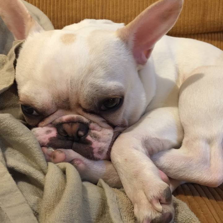 838b81c2 d1a4 44a0 b4d6 c6e0c9806683