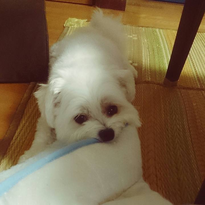 838c7e13 cc4c 4280 98be 515bbd23d41c