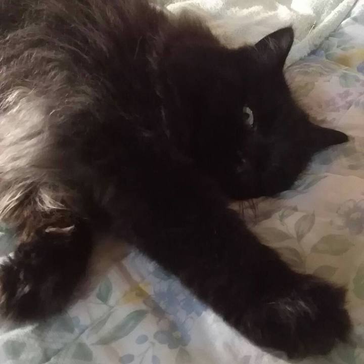 838caad0 85ef 4f66 98b8 6349cec4c4d6