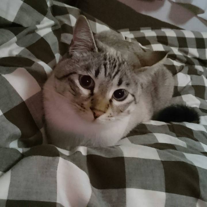 838d8883 6154 4477 a567 b764273fb4a4