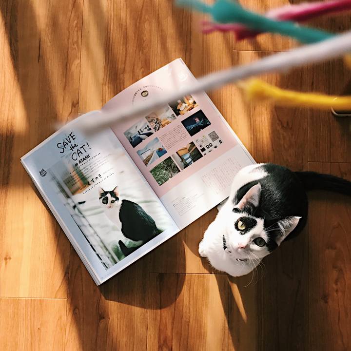 838dcb00 a409 46fd 92b3 b506c6f16538