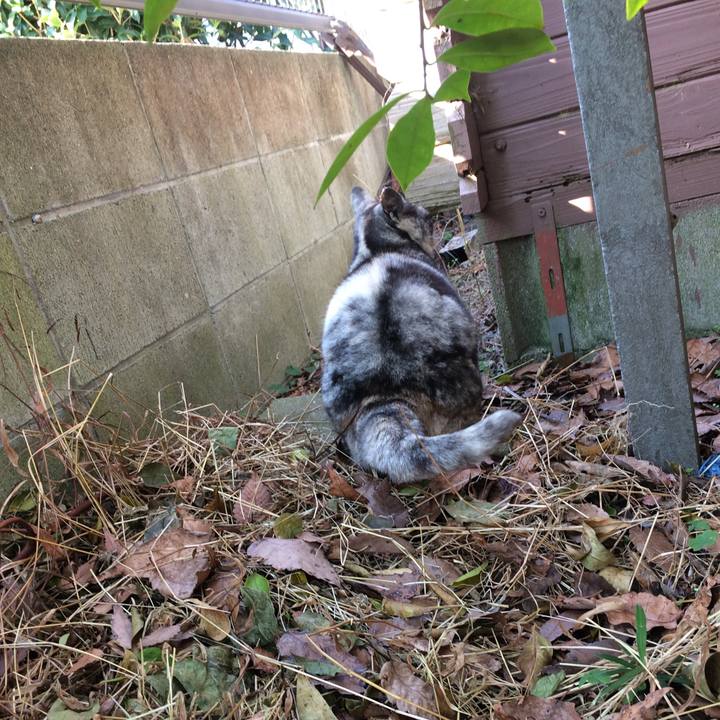 838e1c5d d873 4887 8812 4585a5cf2736