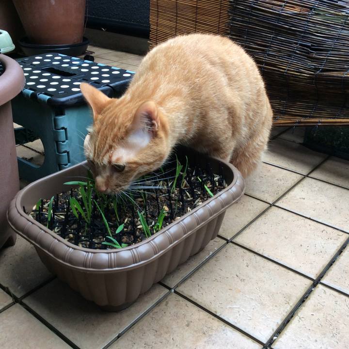 838e2cd1 2465 4b24 a975 41602034495b