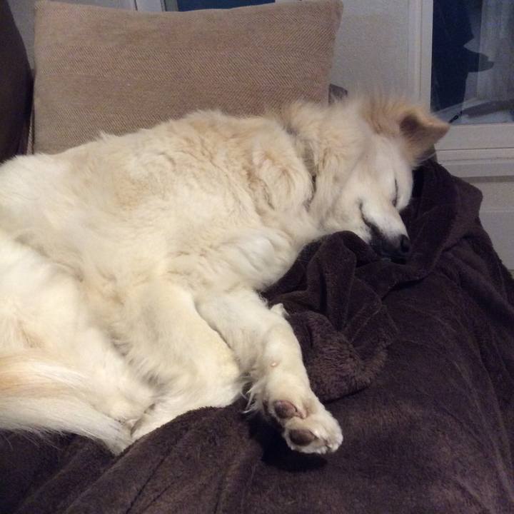 838ea719 62e9 495a aae9 38cb470d0e0e