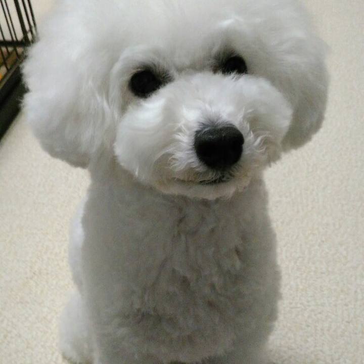 838ed029 7472 4696 abea 3d18ee095b89